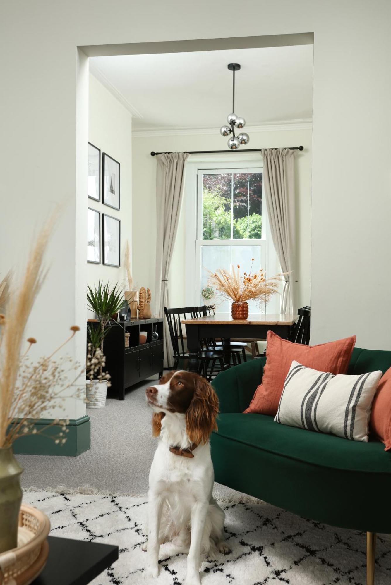 New Luxury For 2024 - Central Plymouth House - Sleeps 10 - Access To Plymouth Town - Close To The Barbican - Pets Welcome - Parking Available - By Luxe Living By Sophia 外观 照片